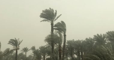 هل ستتأثر البلاد بمنخفض قوي متعمق في الأيام المقبلة؟ الأرصاد تكشف الحقيقة واحتمالات الطقس!