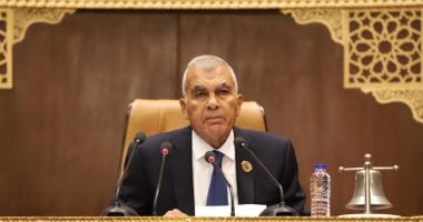 مجلس الشيوخ يرفع الجلسة العامة إلى أجل غير محدد! ما هي تفاصيل اعتماد نتائج انتخابات اللجان؟