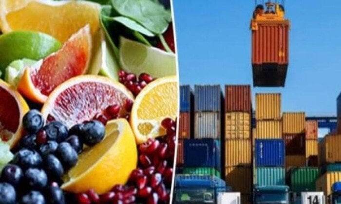 هل ستقود البطاطس والعنب صادرات مصر الزراعية إلى قفزة غير مسبوقة في 2025؟